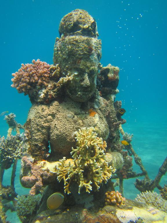 Biorock Homestay Pemuteran Exteriér fotografie